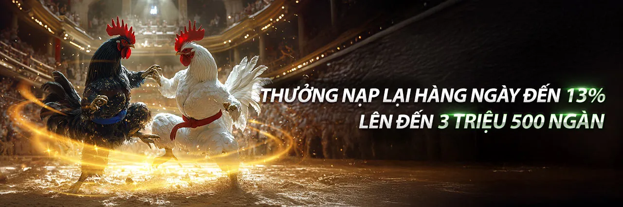 Hình ảnh cá cược thể thao sôi động trên nền tảng MU888